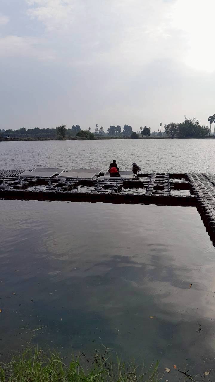บ้านหนองอีล้ำ จ.อ่างทอง ภาพที่ 11