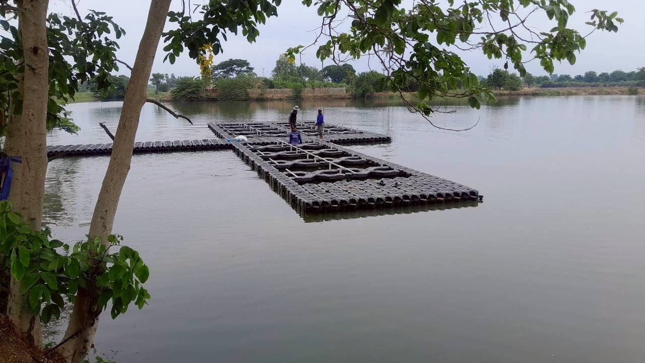 บ้านหนองอีล้ำ จ.อ่างทอง ภาพที่ 16