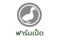 home portfolio image 4