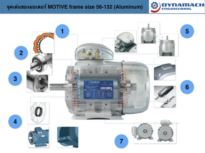 product detail product description image 1